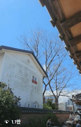 그냥 올렸는데 1.1만이 봤어요